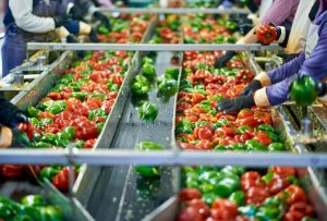 Challenges in food processing industry
