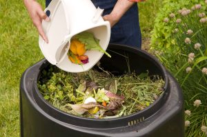 How to dispose food waste at home