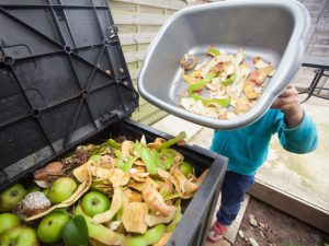 How to dispose food waste at home