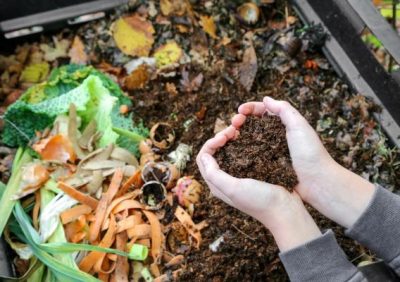 How to dispose food waste at home