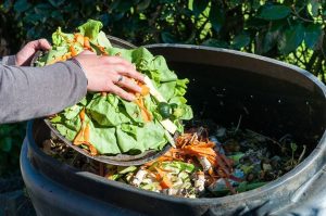 How to dispose food waste at home