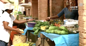 What are the four pillars of food security?