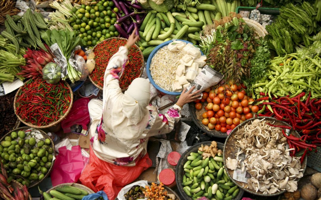 What are the four pillars of food security?