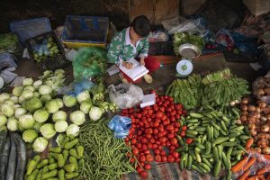 What are the four pillars of food security?