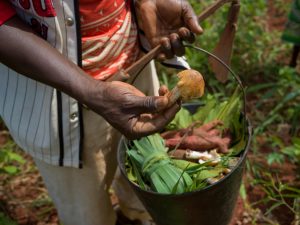 How to Measure Food Insecurity