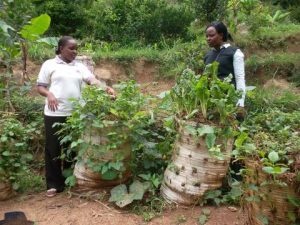 What Is the Difference Between Food Security and Nutrition Security?