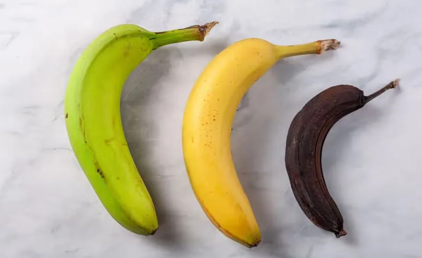 Gene-edited non-browning banana could cut food waste, scientists say